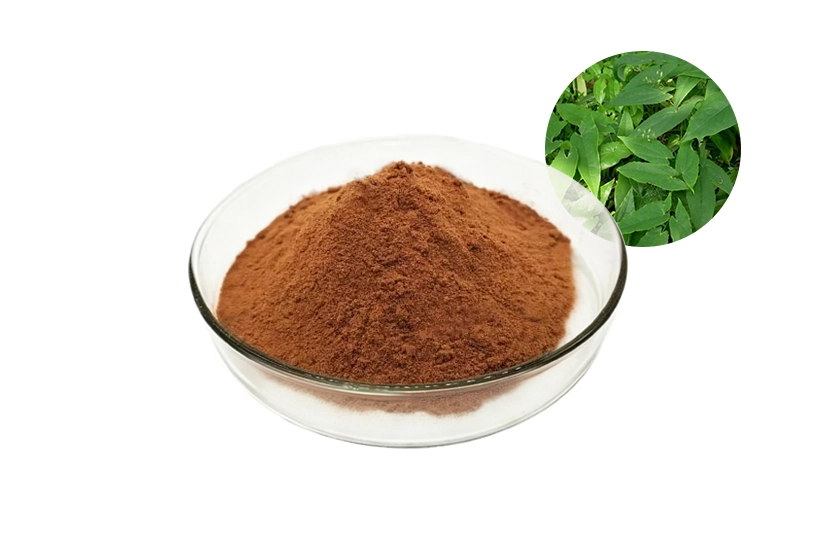 Epimedium Extract Powder